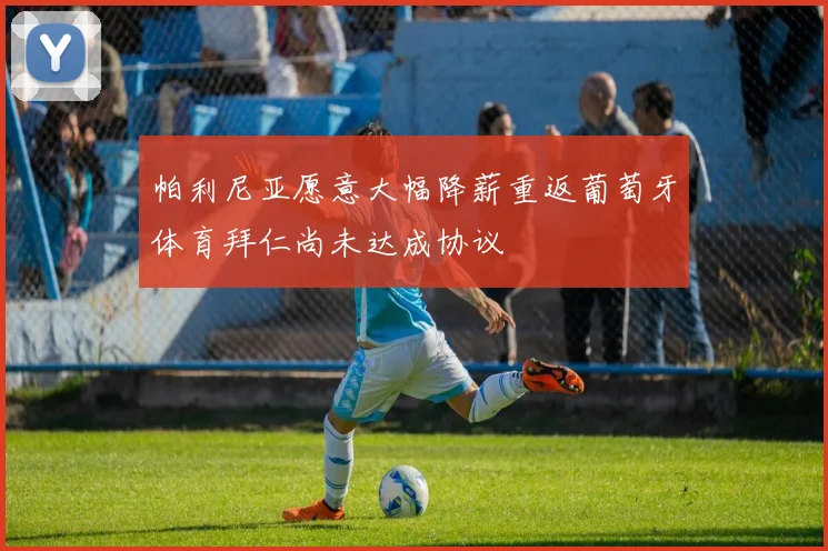 帕利尼亚愿意大幅降薪重返葡萄牙体育拜仁尚未达成协议